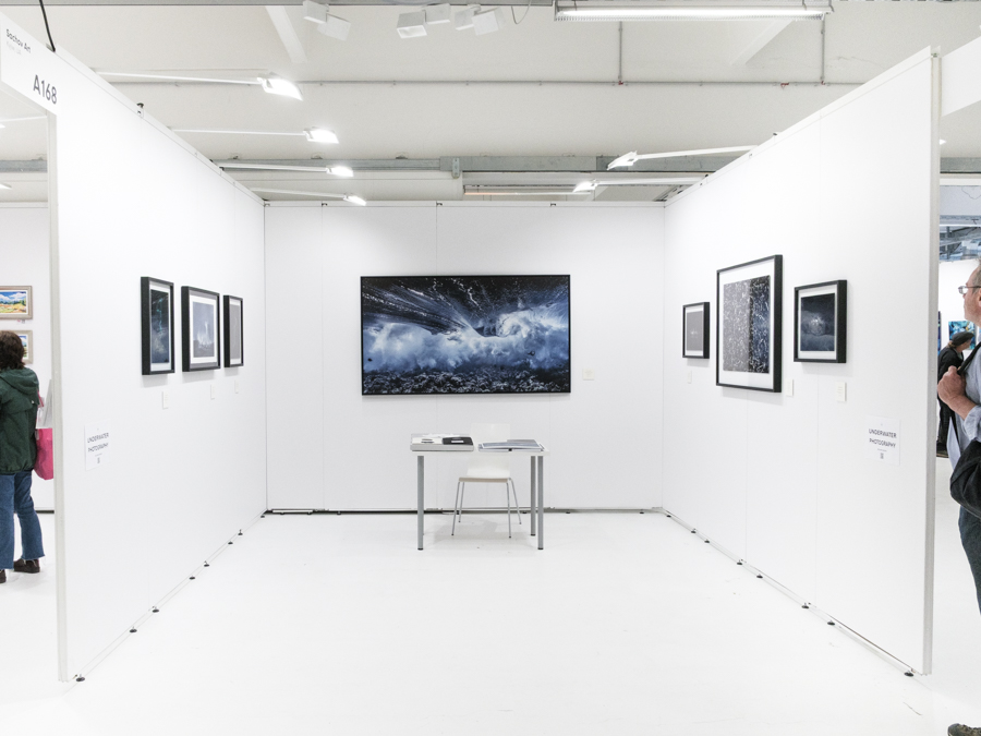 Unterwasser-Kunst von Alexej Sachov - Ausgestellt auf der ARTMUC -1 