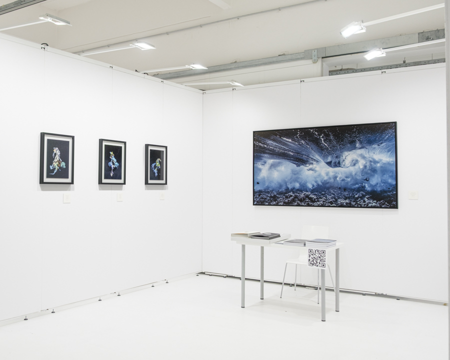 Unterwasser-Kunst von Alexej Sachov - Ausgestellt auf der ARTMUC -4 
