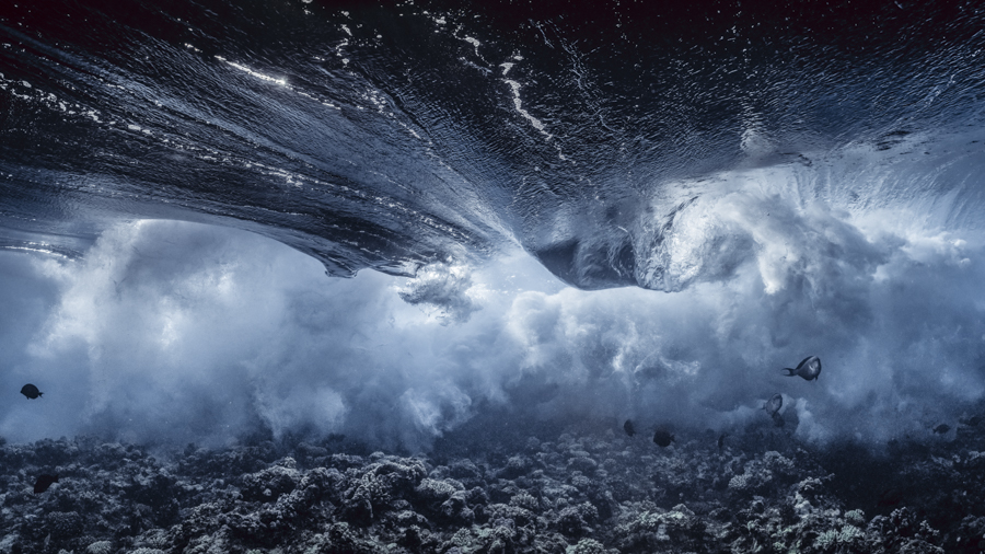 Mixed Emotions / Storm, 2022 Unterwasser-Kunst von Alexej Sachov – Foto 'Mixed Emotions / Storm' - Ausgestellt auf der ARTMUC