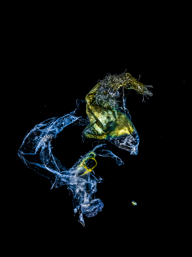 Neptune's Steed, 2023 Unterwasser-Kunst von Alexej Sachov – Foto 'Neptunes Steed' - Ausgestellt auf der ARTMUC
