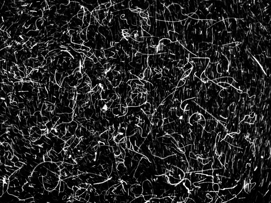 The Secret Code of Nature. The Code. Unterwasser-Kunst von Alexej Sachov – Foto 'The Secret Code of Nature' - Ausgestellt auf der ARTMUC
