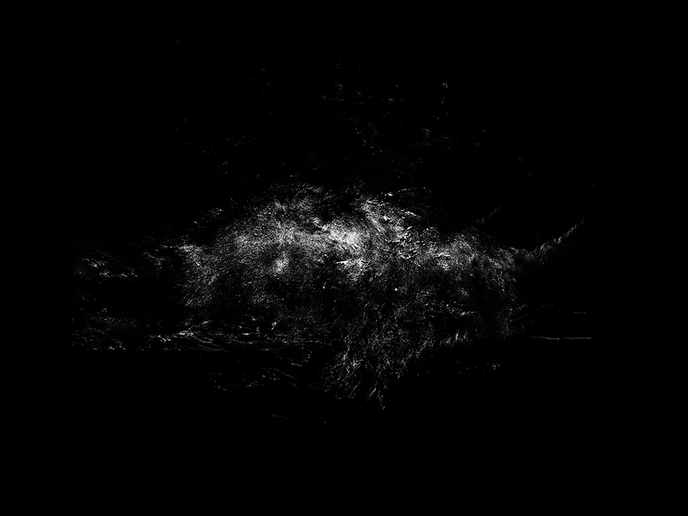 Underwater FineArt photography by Alexej Sachov – Four Elements #1 (2023), presented at boot Düsseldorf 2026 (Maritime Art)