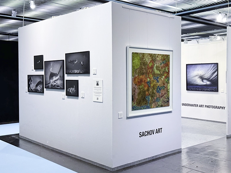 Corner view of the booth showing nature art photographs, The Prehistoric Art of Nature #1, Calmness, and The Jewel of Nature #1