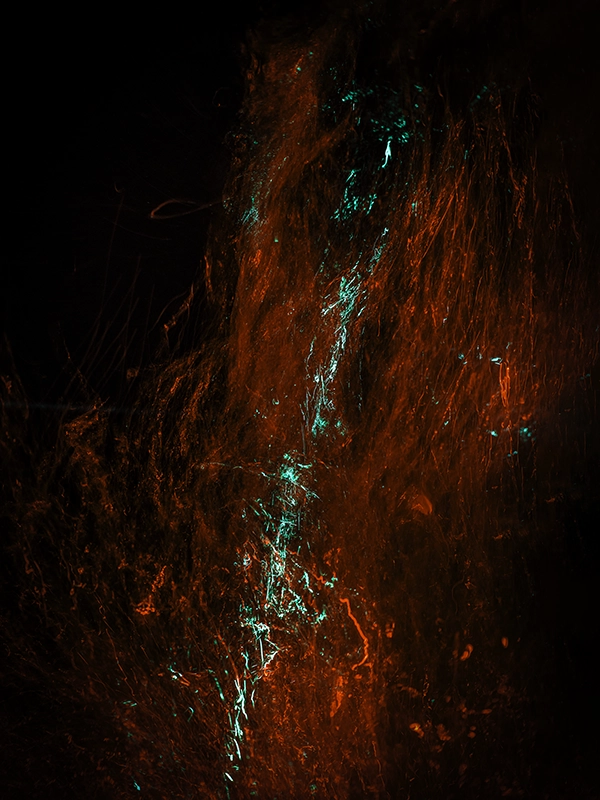 Abstract Art Underwater — “Blood #19” (2023) - Photograph by Alexej Sachov.