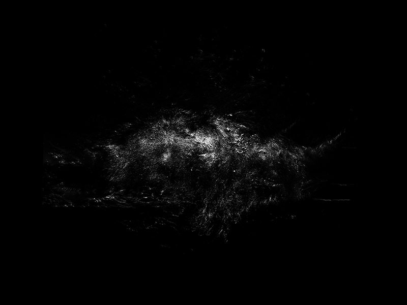 Four Elements #1 — photographie sous-marine fine art en édition limitée d’Alexej Sachov