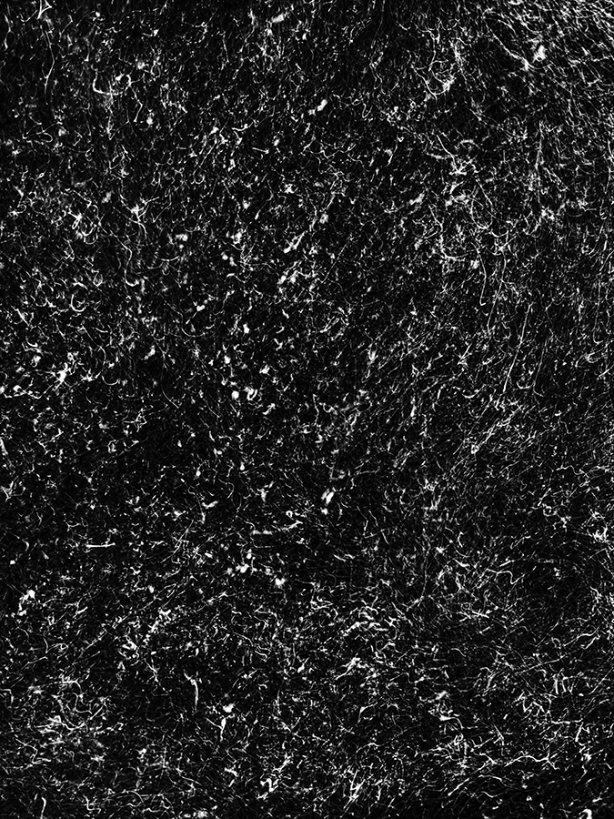 Alexej Sachov, Micro Code, 2022, from The Secret Code of Nature series