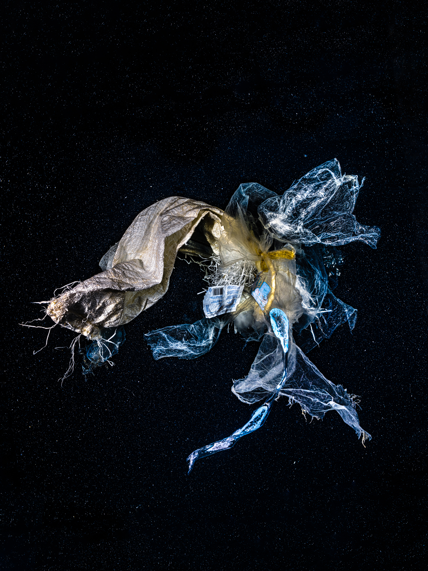 From our reckless waste, the new underwater specie emerged. Amid this aquatic cosmos, it stands as a poignant call-to-action. Its existence is a stark reveal of our footprint and a beacon of hope for redemption. Captured on a scuba dive, this ironic specie urges us to reclaim our world.