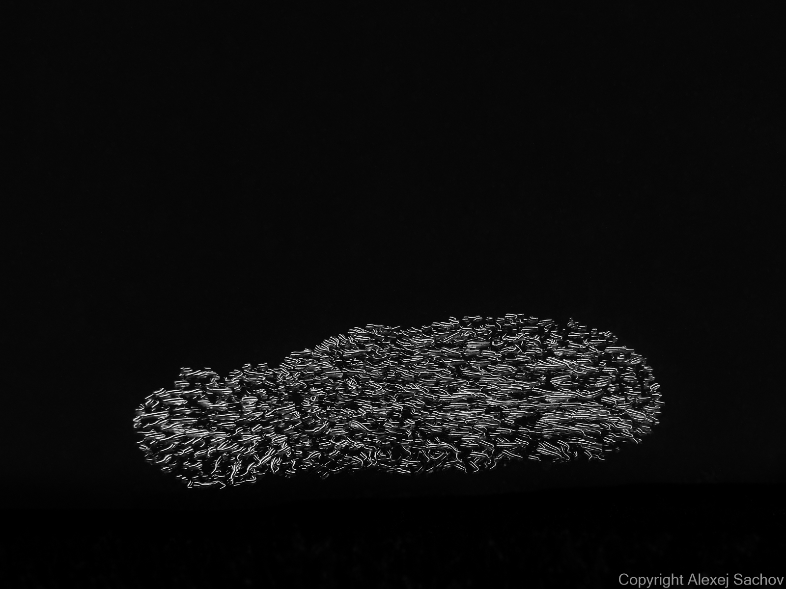 THE SHAPE OF NIGHT