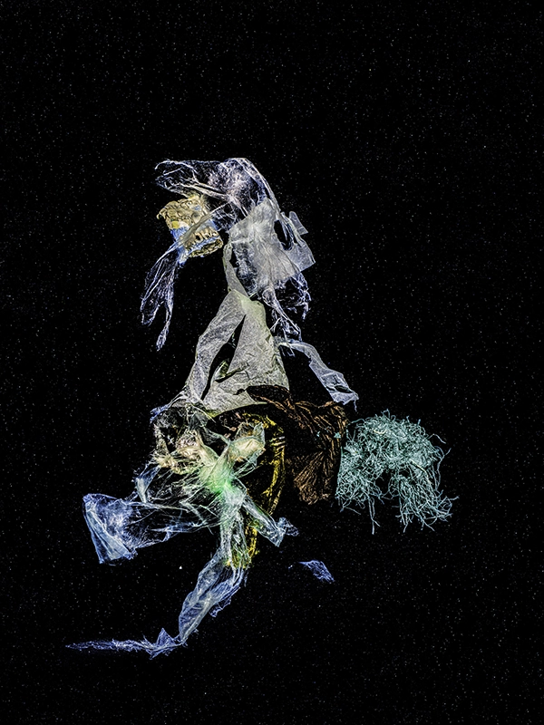 The Knight – limited edition underwater fine art photograph by Alexej Sachov