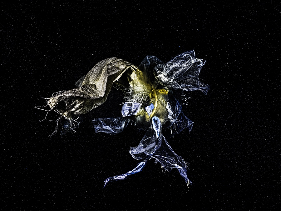 Conceptual underwater art - &ldquo;Underwater Universe Cleaner&rdquo; by Alexej Sachov, from Chronicles of an Emerging Diversity series.