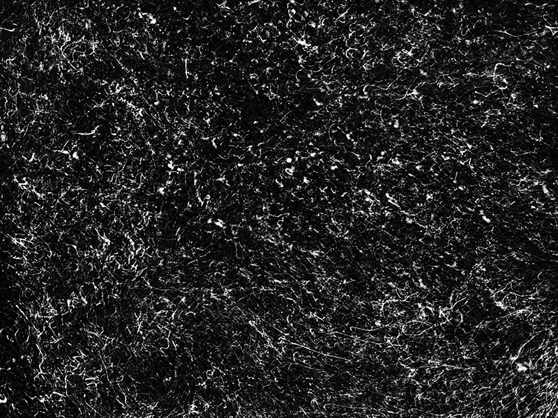Alexej Sachov, Micro Code (2022), from The Secret Code of Nature.