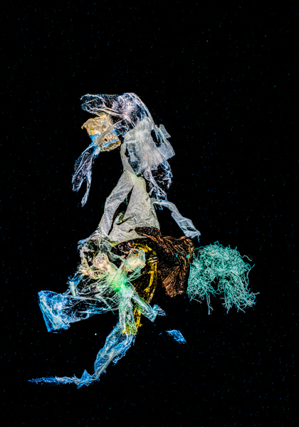 The Knight - Underwater Ecology Art Photography by Sachov
