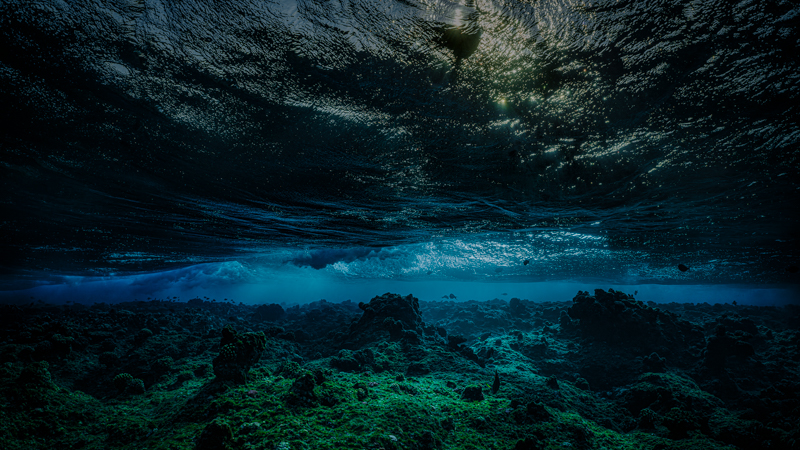 Sundown - Underwater Art Photography by Alexej Sachov