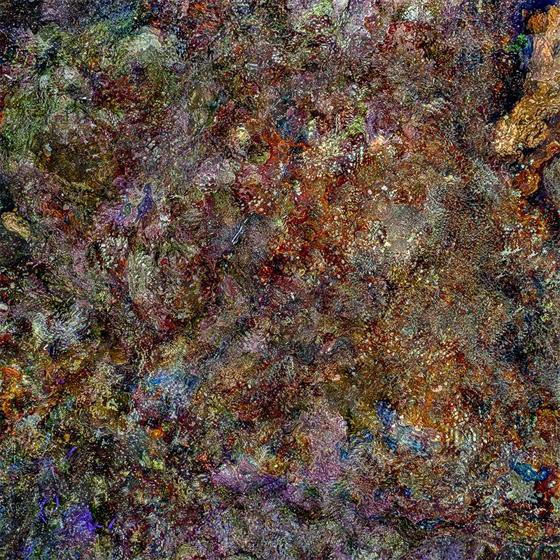 The Jewel of Nature #1 (2025) by Alexej Sachov, coral reef macro. Resonant Light, Paris 2026.